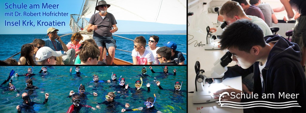 Programm Schule am Meer