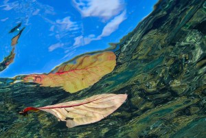 Wasser mare mundi