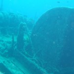Tauchen auf der Insel Krk Styria Guenis Diving Center Krk, DIE Tauchbasis auf der Insel Krk, die Beste Adresse zum Tauchen in Kroatien