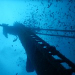 Tauchen auf der Insel Krk Styria Guenis Diving Center Krk, DIE Tauchbasis auf der Insel Krk, die Beste Adresse zum Tauchen in Kroatien