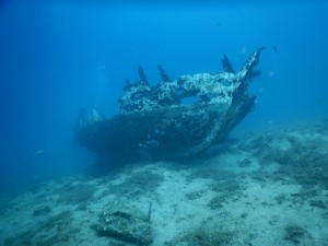 Tauchen auf der Insel Krk Styria Guenis Diving Center Krk, DIE Tauchbasis auf der Insel Krk, die Beste Adresse zum Tauchen in Kroatien