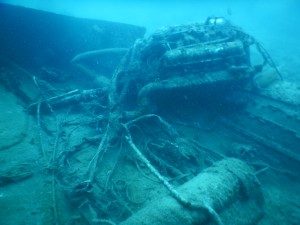 Tauchen auf der Insel Krk Styria Guenis Diving Center Krk, DIE Tauchbasis auf der Insel Krk, die Beste Adresse zum Tauchen in Kroatien