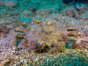 Tauchen auf der Insel Krk Styria Guenis Diving Center Krk, DIE Tauchbasis auf der Insel Krk, die Beste Adresse zum Tauchen in Kroatien