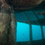 Tauchen auf der Insel Krk Styria Guenis Diving Center Krk, DIE Tauchbasis auf der Insel Krk, die Beste Adresse zum Tauchen in Kroatien