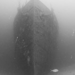 Tauchen auf der Insel Krk Styria Guenis Diving Center Krk, DIE Tauchbasis auf der Insel Krk, die Beste Adresse zum Tauchen in Kroatien