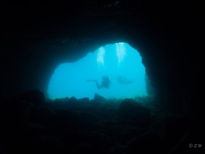 Tauchen auf der Insel Krk Styria Guenis Diving Center Krk, DIE Tauchbasis auf der Insel Krk, die Beste Adresse zum Tauchen in Kroatien