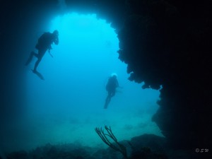 Tauchen auf der Insel Krk Styria Guenis Diving Center Krk, DIE Tauchbasis auf der Insel Krk, die Beste Adresse zum Tauchen in Kroatien