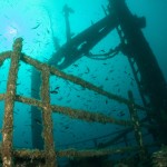 Tauchen auf der Insel Krk Styria Guenis Diving Center Krk, DIE Tauchbasis auf der Insel Krk, die Beste Adresse zum Tauchen in Kroatien
