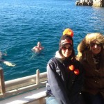 Tauchen auf der Insel Krk Styria Guenis Diving Center Krk, DIE Tauchbasis auf der Insel Krk, die Beste Adresse zum Tauchen in Kroatien
