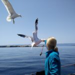Styria Guenis Diving Center Krk