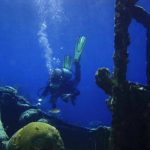 InterDive 2017